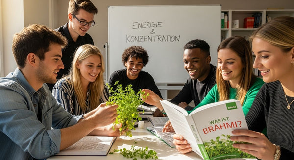 brahmi energie konzentration